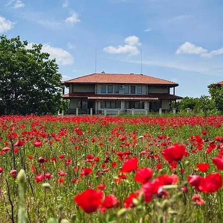 Apartament Lavender