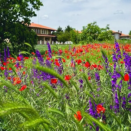 Lavender Apartment Tsarichino